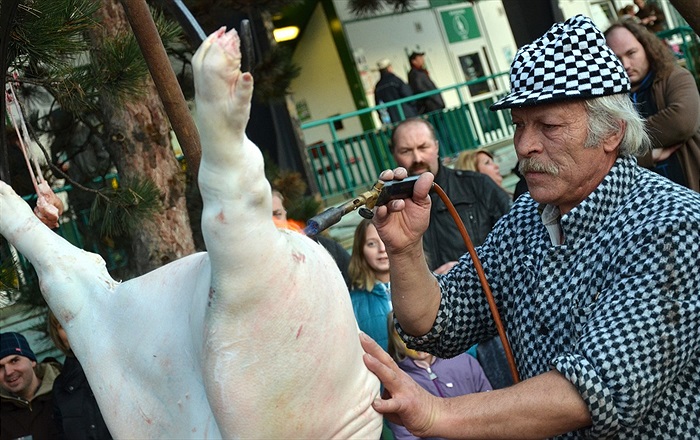 Vršovické posvícení v Ďolíčku