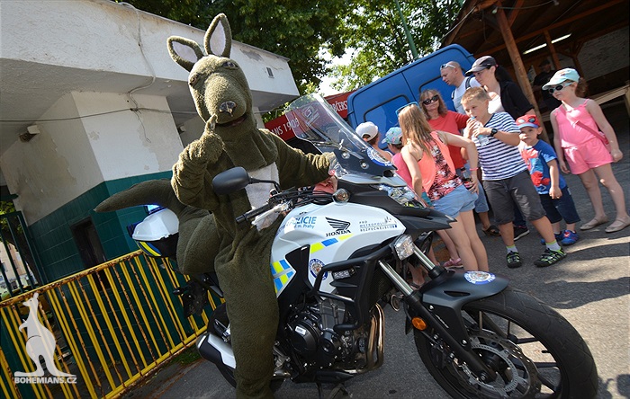 Děstký den v Ďolíčku (2018)