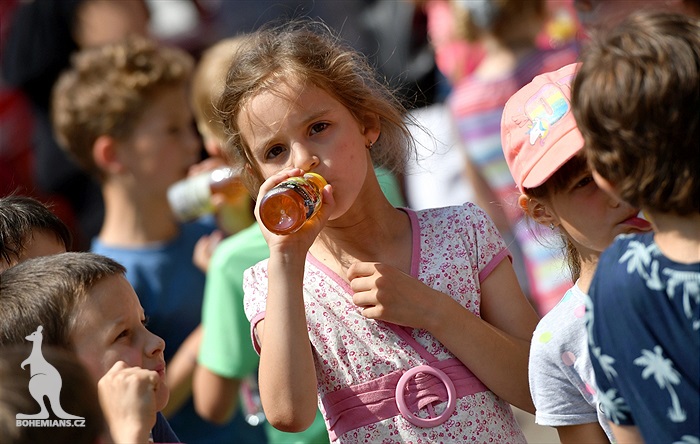 Děstký den v Ďolíčku (2018)