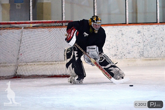 Hokejovou odvětu vyhráli mladí 9:6 - 2012