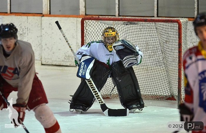 Hokejovou odvětu vyhráli mladí 9:6 - 2012