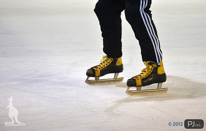 Hokejovou odvětu vyhráli mladí 9:6 - 2012