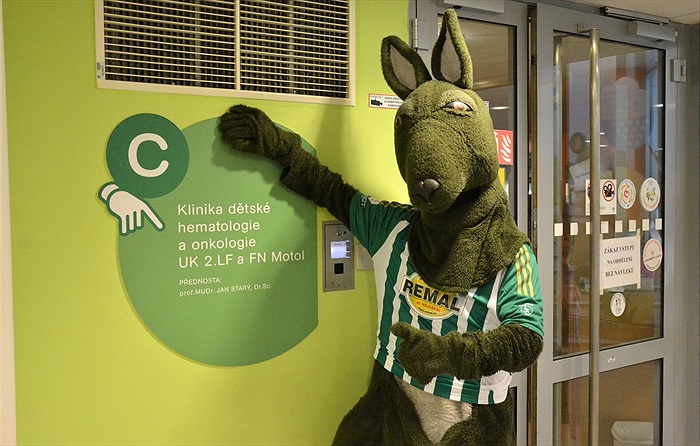 Klokan na návštěvě v Motole