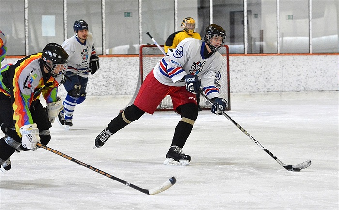 Hokej 2015: Černá - Bílá 7:6