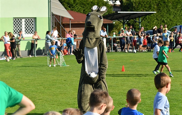 Nábor podzim 2020 - Loko Vršovice