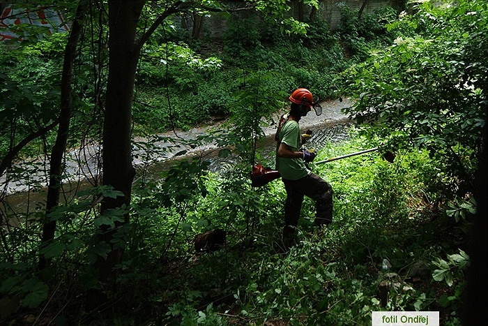 Ďolíček - velká brigáda 9. 6. 2012