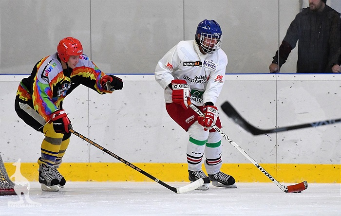 Klokani po roce opět na ledě