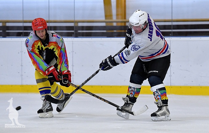 Klokani po roce opět na ledě