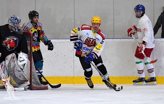 Klokani po roce opět na ledě