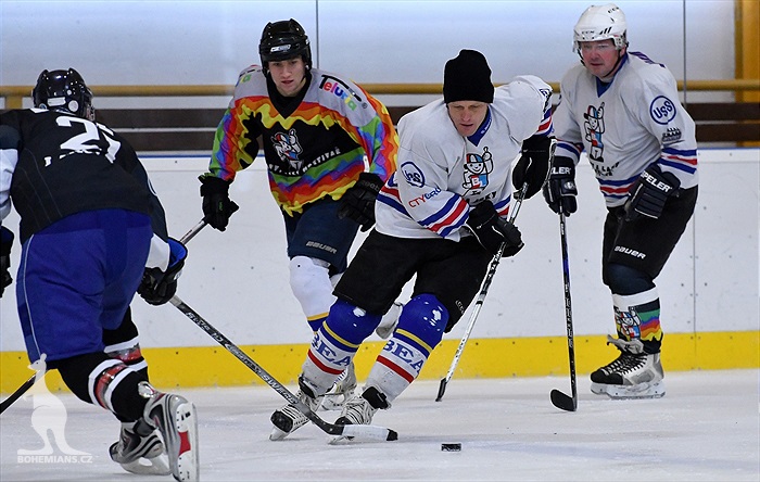 Klokani po roce opět na ledě