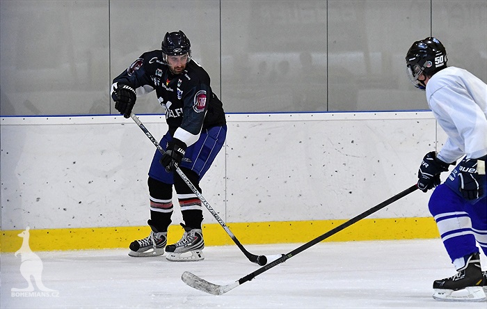 Klokani po roce opět na ledě