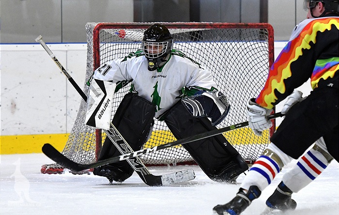 Klokani po roce opět na ledě