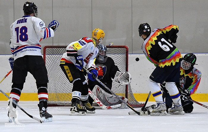 Klokani po roce opět na ledě