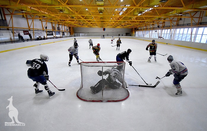 Klokani po roce opět na ledě