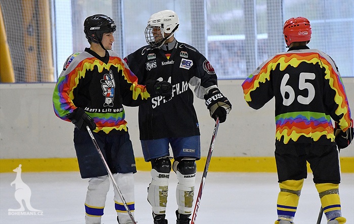 Klokani po roce opět na ledě