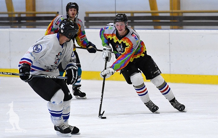 Klokani po roce opět na ledě