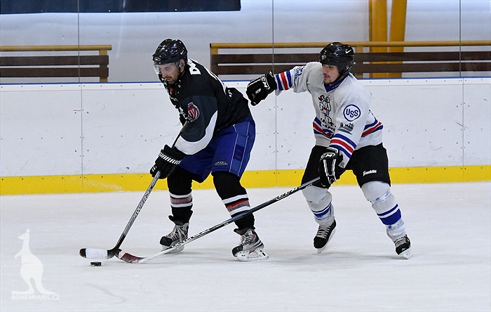 Klokani po roce opět na ledě