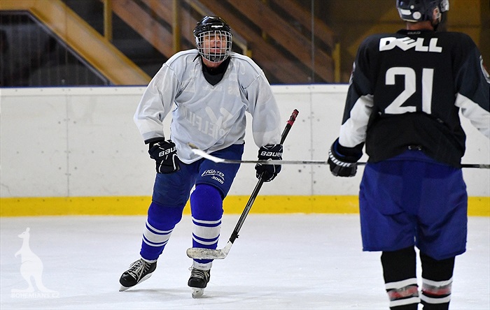 Klokani po roce opět na ledě