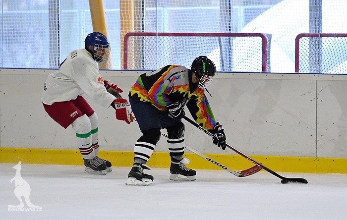 Klokani po roce opět na ledě