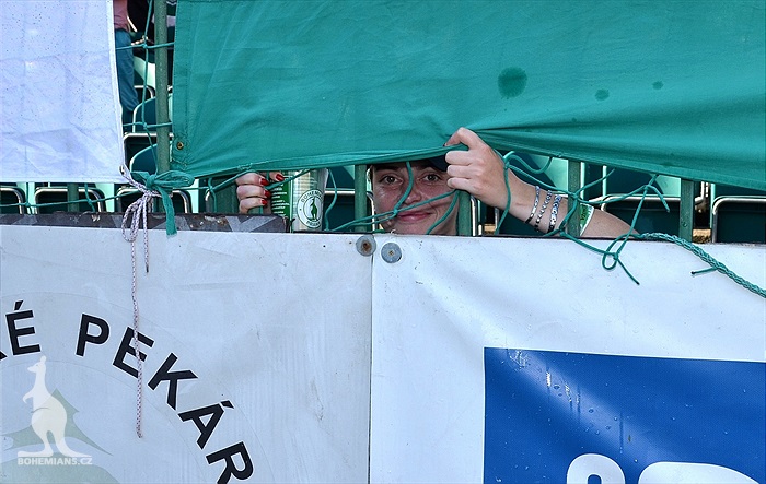 DĚNÍ NA TRIBUNÁCH: Bohemians - Zbrojovka
