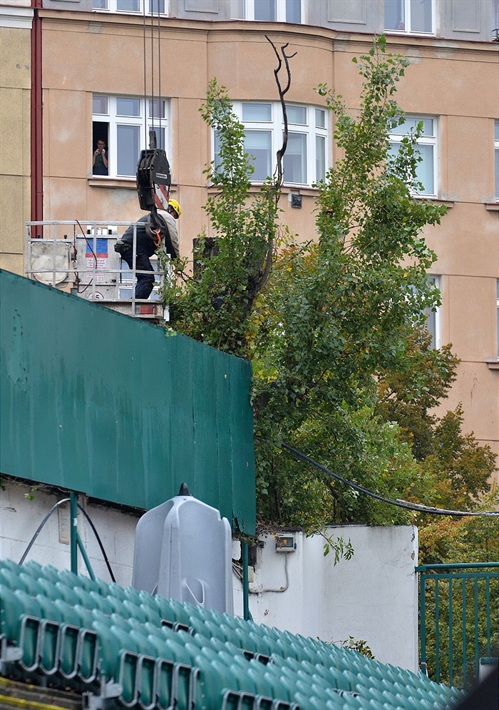 Ďolíček je již bez topolů