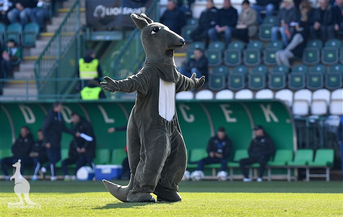 Bohemians - Slovácko 1:2 (1:1)
