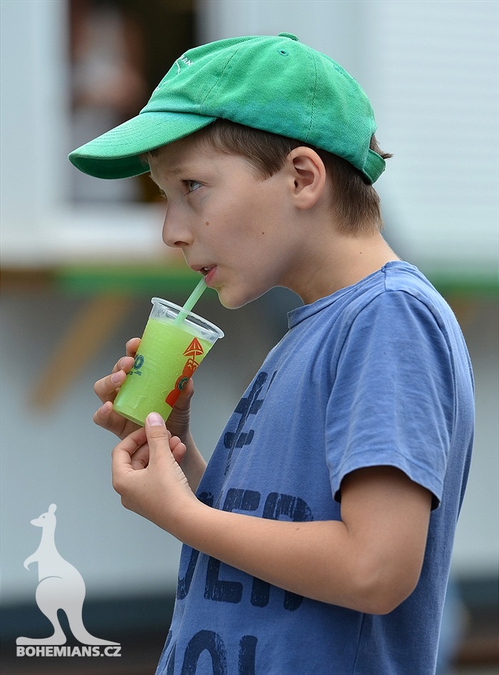 Dětský den v Ďolíčku