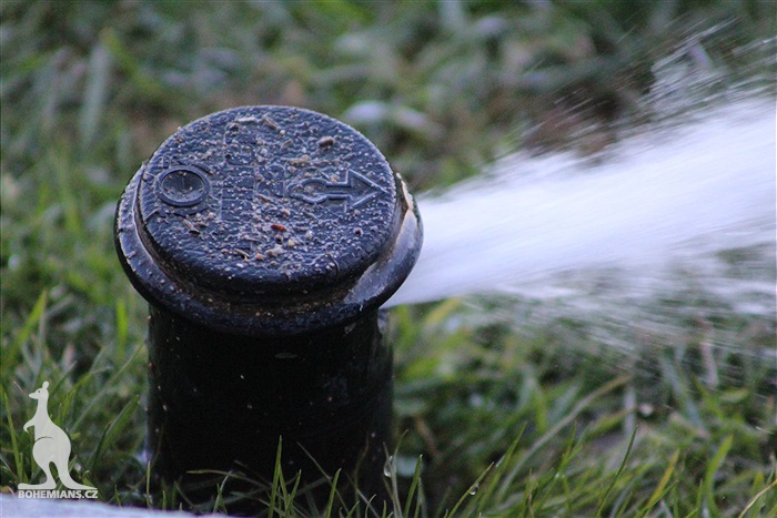 Wolfsberger - Bohemians 1:1 (1:0)