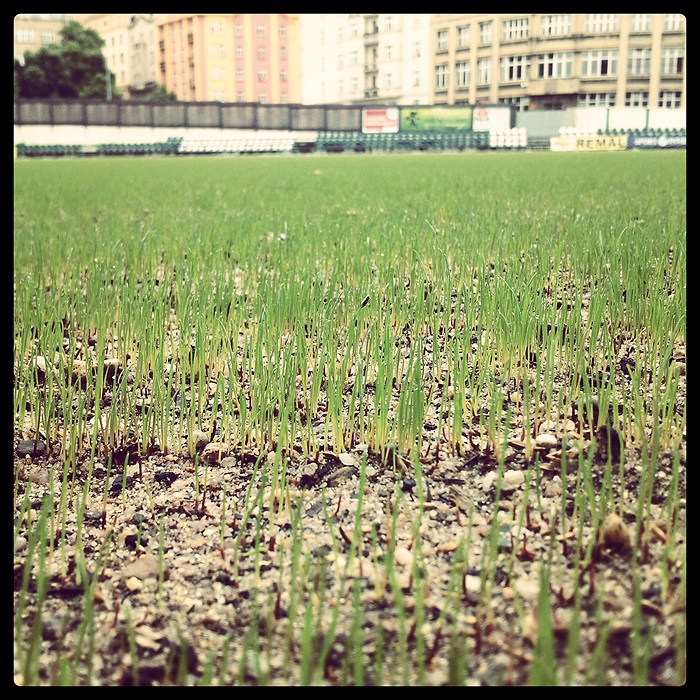 Instagram - Tráva vypadá už jako tráva