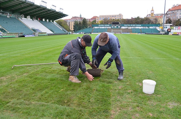 Výměna části trávníku v Ďolíčku