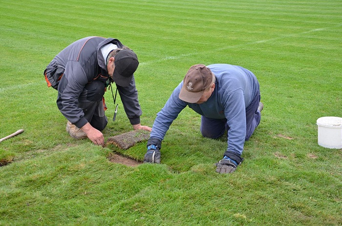 Výměna části trávníku v Ďolíčku